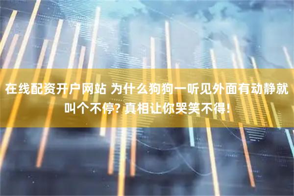 在线配资开户网站 为什么狗狗一听见外面有动静就叫个不停? 真相让你哭笑不得!