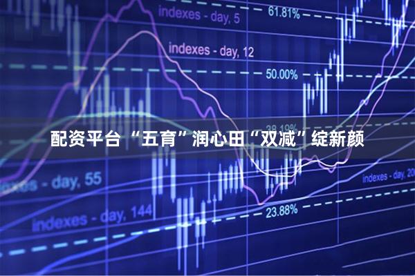 配资平台 “五育”润心田“双减”绽新颜